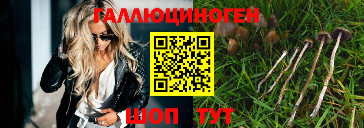 Галлюциногенные грибы мухоморы Тверь