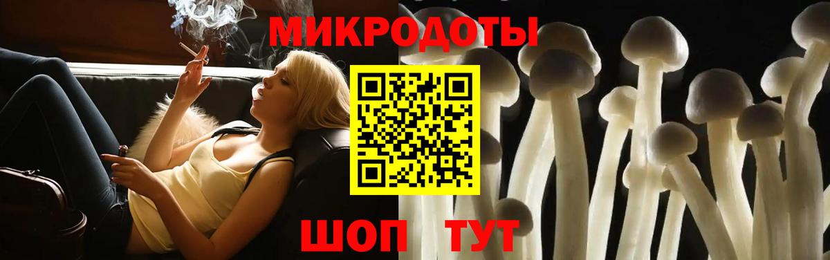 Галлюциногенные грибы Psilocybe  Вход с VPN  наркошоп  Тверь  Галлюциногенные грибы мицелий 
